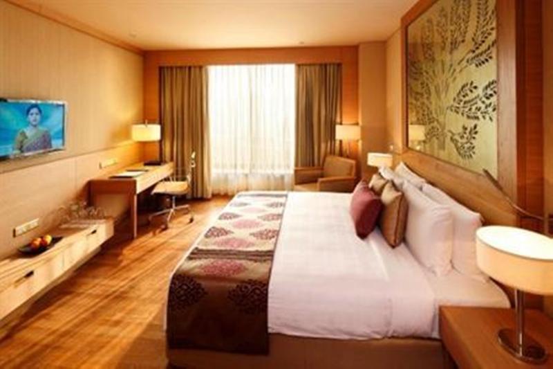 Radisson Blu Hotel New Delhi Dwarka Δωμάτιο φωτογραφία Deluxe Room